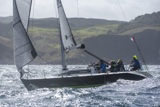sx panther gbr1974n whyw25 750 _5874